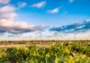 Top Energy Conservation Techniques to Save the Environment