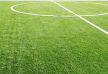 From the Pitch to the Court: Exploring Common Sports Injuries