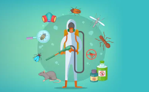 Pest control illustration