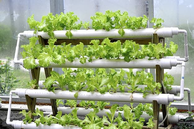 Hydroponic system PVC pipes