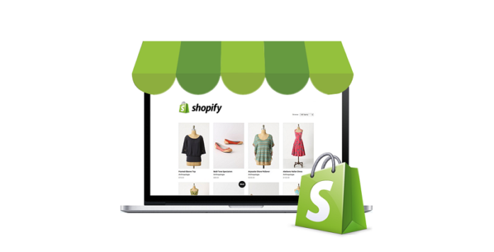 Shopify store online illustration
