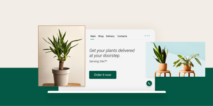 Small business website illustration for nursery plants business