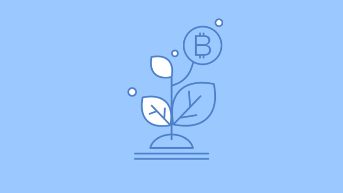 Bitcoin investment growth illustration with a growth plan and Bitcoin icon