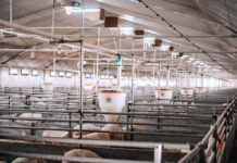 Smart Breeding and Automation with Chainway C71