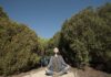 Journey to Comfort: The Unseen World of Healing Through Touch