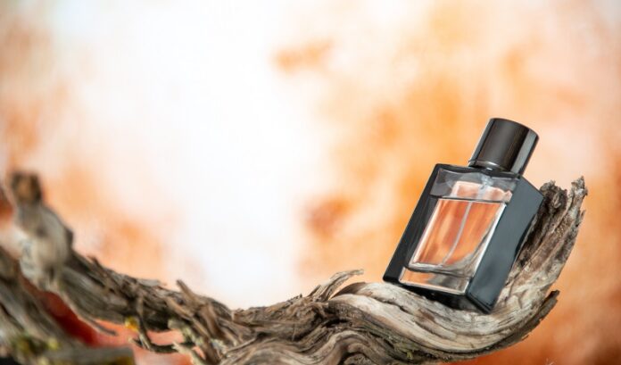 front-view-cologne-bottle-branch-rotten-wood-nude-background